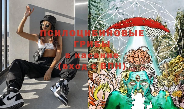 PSILOCYBIN Елизово