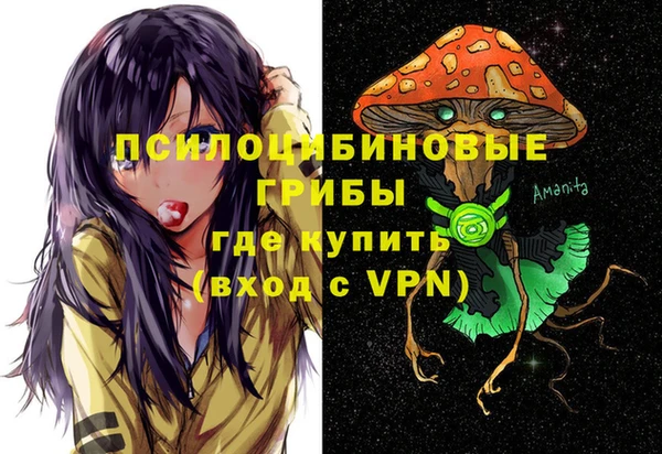 PSILOCYBIN Елизово