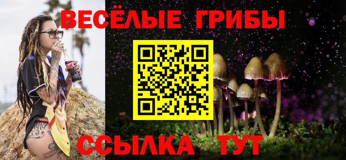 Каменка  Галлюциногенные грибы Psilocybe  Вход с VPN 