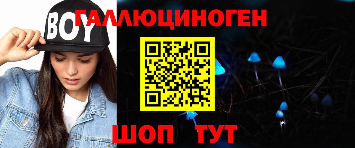 Псилоцибиновые грибы Psilocybe Каменка